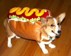Halloween Trick or … Nothing – Just Trick