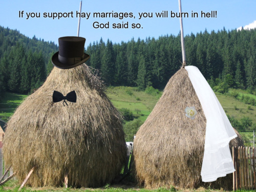If you support hay marriages, you will burn in hell! God said so.
