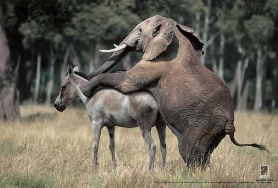 Rick Santorum’s Real Sexual Nightmare