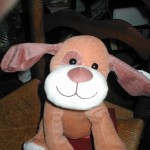 Fun Puppy
