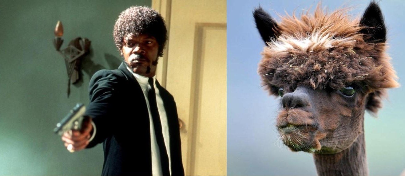 Sam Jackson the legend, the man, the llama.