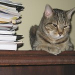 Kathy’s Points to Remember About Pets