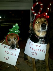 Even Dogs Need Therapy