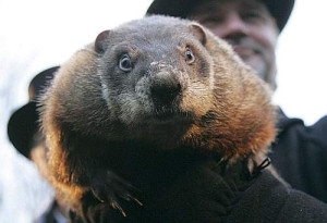 The Prosecution of Punxsutawney Phil?