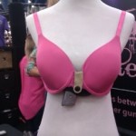 BraHolster