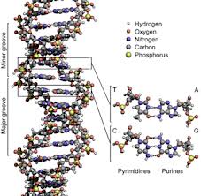 DNA of Your Relatives Are Only A Swab of Spit Away